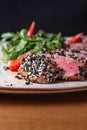 Tuna tataki in sesame with quinoa and spinach Royalty Free Stock Photo