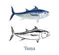 Tuna vector color illustration and black and white outline. Cartoon flat fish.