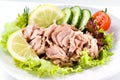 Tuna with vegetable salad Royalty Free Stock Photo