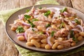Tuna and white bean salad close-up in a plate. horizontal Royalty Free Stock Photo