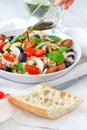 Tuna and White Bean Salad Royalty Free Stock Photo