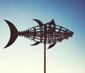 Tuna wind vane Royalty Free Stock Photo