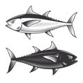 Tuna yellow fin Fish vintage drawing doodle line art illustration vector Royalty Free Stock Photo
