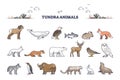 Tundra animals collection with natural habitat creatures type outline set