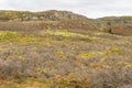 Tundra in autumn colors Royalty Free Stock Photo