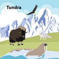 Tundra Eco style life forest Wildlife