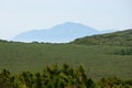 Tundra in Eurasia, fog, summer