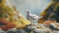 Tundra: Felt Stop-motion Seagull In 4k With Shallow Depth Of Field