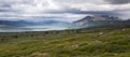 Tundra Landscape Royalty Free Stock Photo