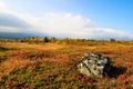 Tundra landscape