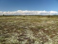 Tundra landscape Royalty Free Stock Photo