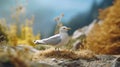 Tundra Felt Stop-motion Seagull In 4k With Shallow Depth Of Field