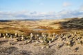 Tundra landscape with moss, glass and stouns in the north of Norway or Russia and blue sky with clouds