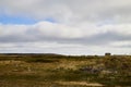 Tundra landscape with moss, glass and stouns in the north of Norway or Russia and blue sky with clouds