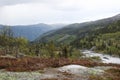 Tundra landscape in Norway