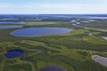 Tundra landscape in summer