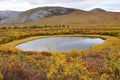 Yukon, Canada: Tundra Thaw Pond Royalty Free Stock Photo