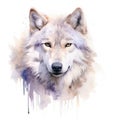 tundra wolf Generative Ai Royalty Free Stock Photo