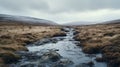 Tundra In Yorkshire: A Darktable Processed Dystopian Landscape