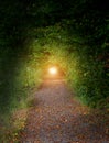 Tunel in nature heaven