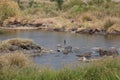 Tungabhadra River, Hampi, near Hospete, Karnataka, India Royalty Free Stock Photo