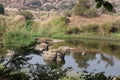 Tungabhadra River, Hampi, near Hospete, Karnataka, India Royalty Free Stock Photo