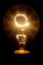 Tungsten bulb with flare Royalty Free Stock Photo