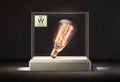 Tungsten element lightbulb