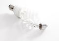 Tungsten and energy saving lightbulb Royalty Free Stock Photo