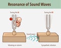 Tuning Fork resonance experiment. When one tuning fork is struck, the other tuning fork of the same frequency will also vibrate in Royalty Free Stock Photo