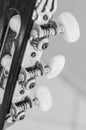 Tuning pegs on the headstock of an acoustic guitar