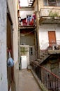In the poor and degraded neighborhoods of the city of Tunis, Tunisa