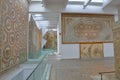 Impressive roman mosaics located inside the Bardo Museum
