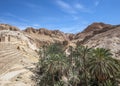 The oasis of Shebik is one of the ten most beautiful oases in th