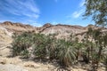 The oasis of Shebik is one of the ten most beautiful oases in th