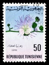Tunisia on postage stamps Royalty Free Stock Photo