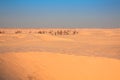 Tunisia. Somewhere on Sahara desert near Douz... Royalty Free Stock Photo