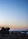 Sunrise over the salt lake of El Jerid. Royalty Free Stock Photo