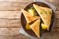 Tunisian Deep fried brik pastry with tuna and egg filling close up in the plate. Horizontal top view