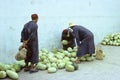 Tunisian market