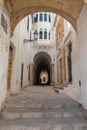 Tunisian royalty. Visit the Dar Lasram Hammouda Pacha Museum, a palace built in 1630 by Hammouda Pacha Bey