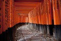 Tunnel of 10000 torii gates Royalty Free Stock Photo