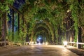 Tunnel arch pathway garden illuminate Royalty Free Stock Photo