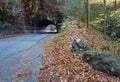 Tunnel with autum leaves and trail lights