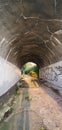 Tunnel bridge below the train with natural growth with grafitti tags Royalty Free Stock Photo