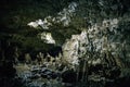 Tunnel in cave with stalactites and stalagmites in Adygeya