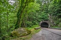 Tunnel on a Curve in the Smokies Royalty Free Stock Photo