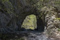 Tunnel in the gorge