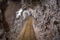 Tunnel Inside Gold MIne Royalty Free Stock Photo