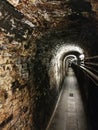 a tunnel lane in the wine cellar or in a sewer under the ground Royalty Free Stock Photo